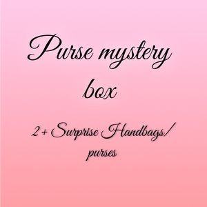 Purse mystery Bag 2+purses/bags